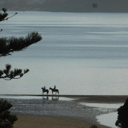 Changing Tides Bnb Paihia Exteriér fotografie