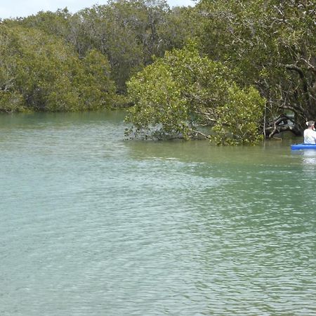 Changing Tides Bnb Paihia Exteriér fotografie