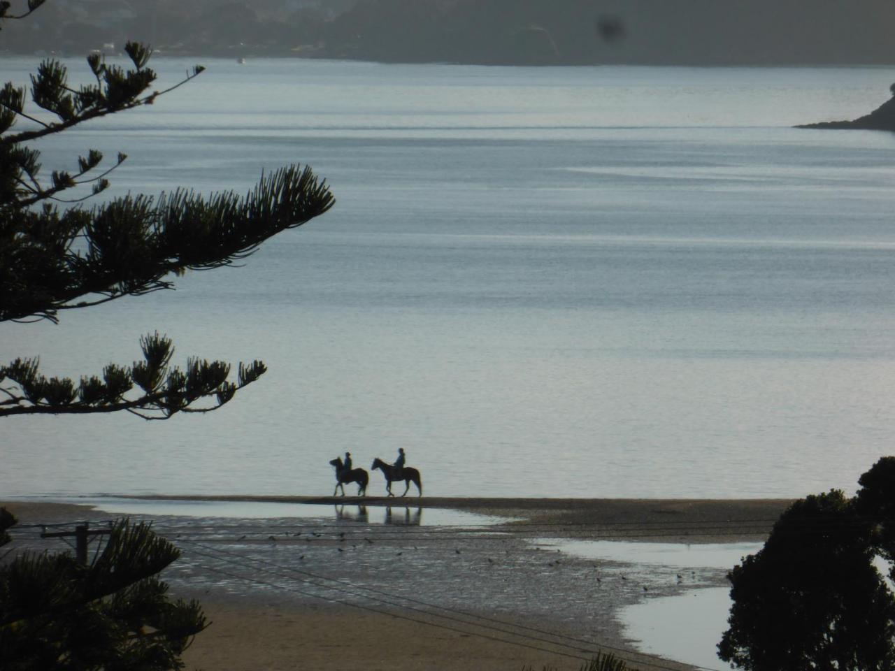 Changing Tides Bnb Paihia Exteriér fotografie